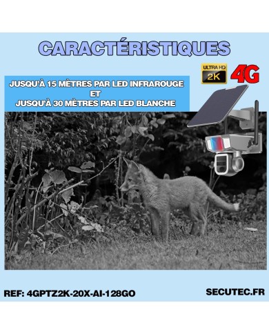 Double caméra pilotable solaire 4G UHD 2K waterproof Zoom X20 autotracking IR détection de mouvement microSD 128 Go