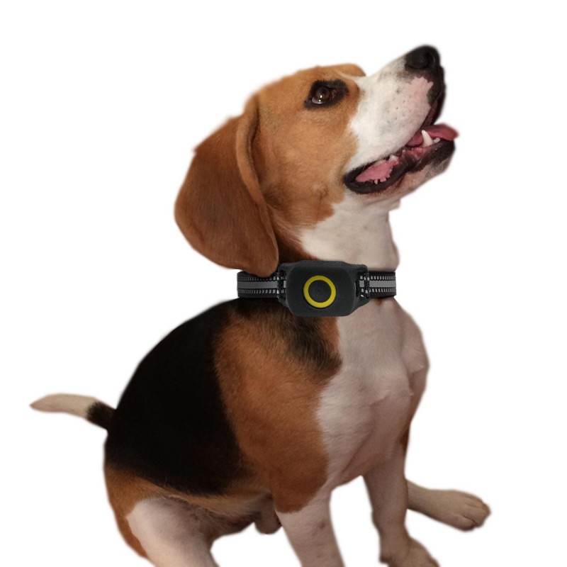 4G Collier GPS pour Chien avec Alarme Sonore et Lumineuse