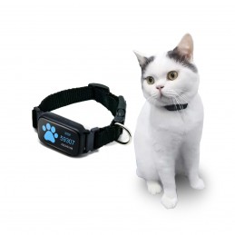 Collier traceur GPS 4G temps réel sans abonnement pour chat et petit chien