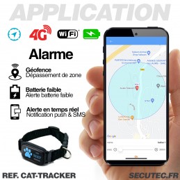 4G Collier GPS pour Chiens Gros Chats Animals APP sans Abonnement avec  Clôture de Sécurité Alarme Sonore et Lumineuse Pédomètre, Traceur GPS Chien  de