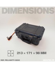 Pélicase étanche avec batterie lithium rechargeable 57.6 A avec sortie 12V