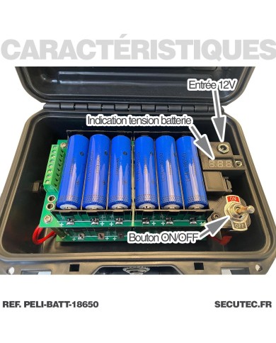 Pélicase étanche avec batterie lithium rechargeable 57.6 A avec sortie 12V