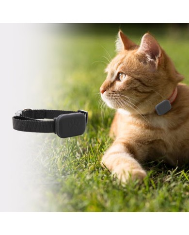 Collier traceur IOS temps reel sans abonnement pour chat et petit chien