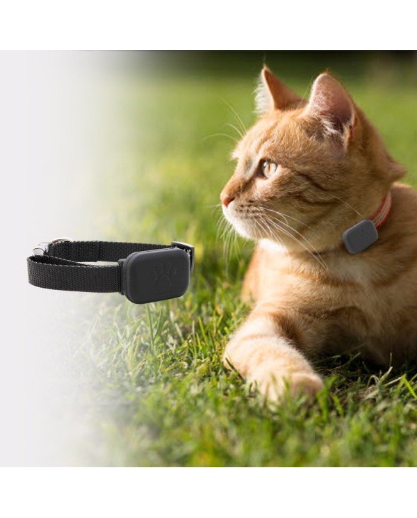 Collier traceur IOS temps reel sans abonnement pour chat et petit chien