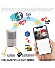Détecteur de présence avec micro caméra IP 4G accès à distance via iPhone Android enregistrement Ultra HD 5MP sur micro SD jusqu