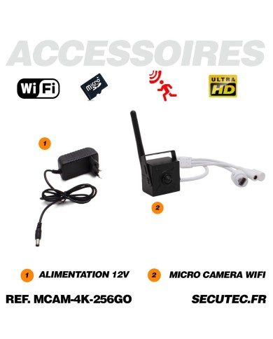 Micro caméra pinhole WiFi à intégrer enregistrement Ultra HD 4K alerte détection humaine avec carte SD 256Go