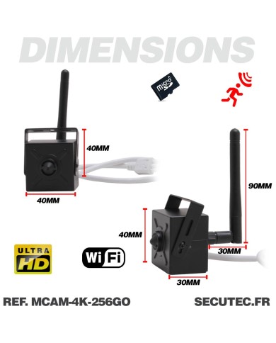 Micro caméra pinhole WiFi à intégrer enregistrement Ultra HD 4K alerte détection humaine avec carte SD 256Go