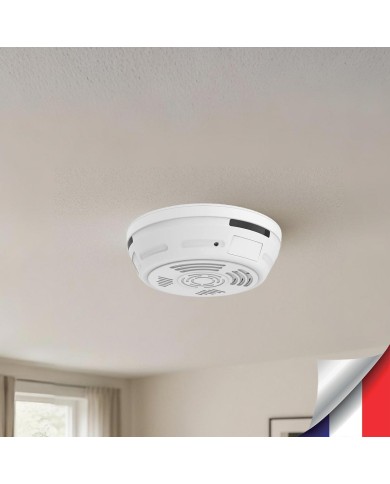 Caméra cachée WiFi 1080P dans détecteur de fumée factice Détection de mouvement IR invisible microSD 128 Go