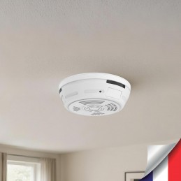 Caméra cachée WiFi 1080P...