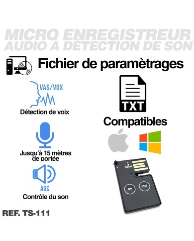 Nano enregistreur audio professionnel haute sensibilité longue autonomie