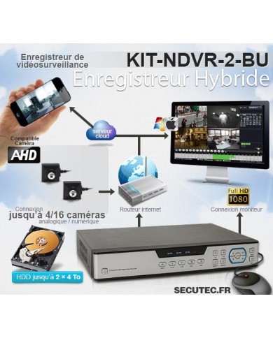 Kit vidéosurveillance 1 To avec 2 caméras cachées vis 700 lignes
