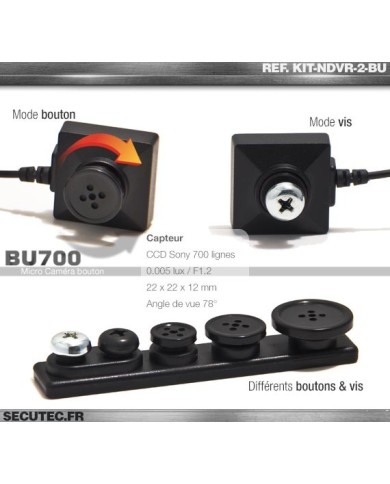 Kit vidéosurveillance 1 To avec 2 caméras cachées vis 700 lignes