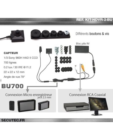 Kit vidéosurveillance 1 To avec 2 caméras cachées vis 700 lignes
