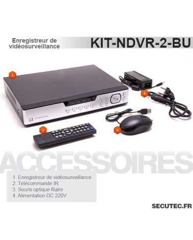 Kit vidéosurveillance 1 To avec 2 caméras cachées vis 700 lignes