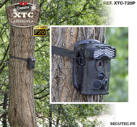 La caméra XTC-720P fixée à un arbre