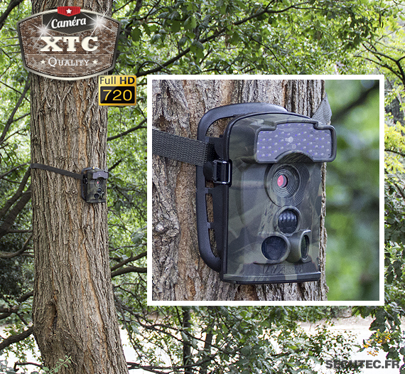 La caméra XTC-720P-I fixée à un arbre