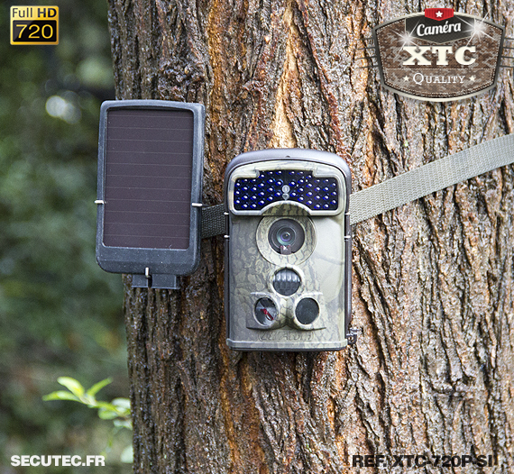 Kit XTC-720P-SI fixé à un arbre