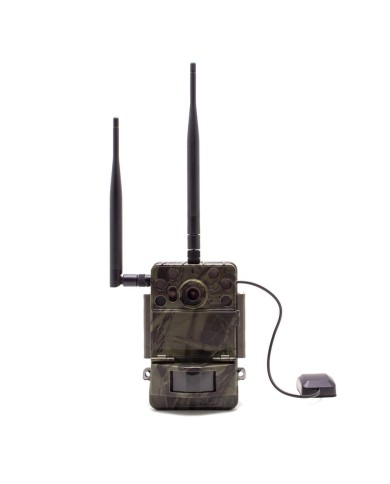 Caméra de chasse 4K IR invisible GPS GSM 4G alerte push envoi photo et vidéo sur application iOS et Android serveur cloud e-mail