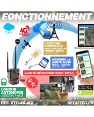 Caméra de chasse 4K IR invisible GPS GSM 4G alerte push envoi photo et vidéo sur application iOS et Android serveur cloud e-mail