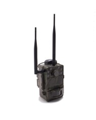 Caméra de chasse 4K IR invisible GPS GSM 4G alerte push envoi photo et vidéo sur application iOS et Android serveur cloud e-mail