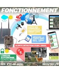 Caméra de chasse 4G UHD 4K IR invisible GPS avec panneau solaire