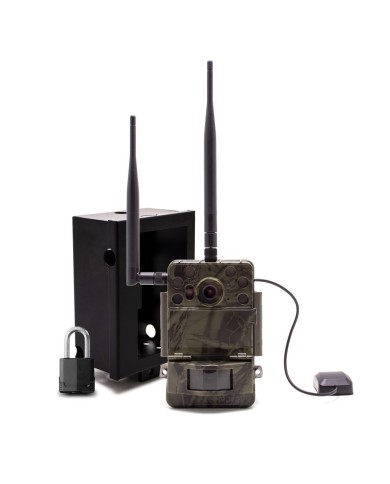 Caméra de chasse Ultra HD 4K IR invisible GPS GSM 4G avec box anti-vandale