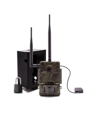 Caméra de chasse Ultra HD 4K IR invisible GPS GSM 4G avec box anti-vandale