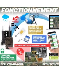 Caméra de chasse Ultra HD 4K IR invisible GPS GSM 4G avec box anti-vandale