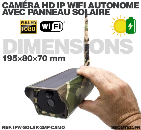 Caméra camouflage solaire IP Wi-Fi extérieure HD 1080P