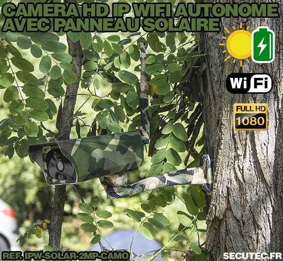 Caméra camouflage solaire IP Wi-Fi extérieure HD 1080P