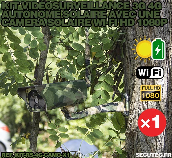 Kit vidéosurveillance 3G 4G autonome solaire avec une caméra camouflage solaire Wi-Fi HD 1080P