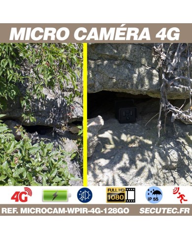 Kit micro caméra 4G HD 1080P longue autonomie avec détection de mouvement PIR et vision nocturne invisible 128 Go avec une houss