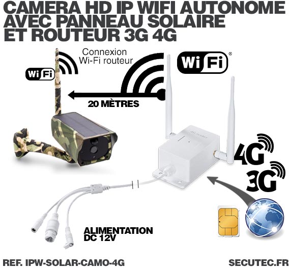 Caméra camouflage solaire 3G 4G IP Wi-Fi extérieure HD 1080P