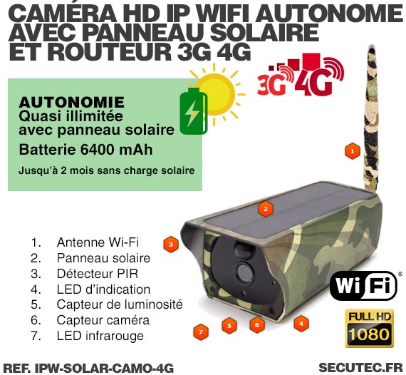 Caméra camouflage solaire 3G 4G IP Wi-Fi extérieure HD 1080P