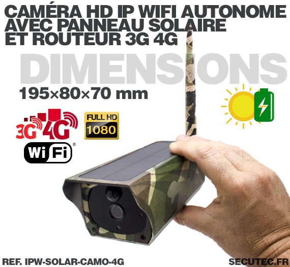 Caméra camouflage solaire 3G 4G IP Wi-Fi extérieure HD 1080P