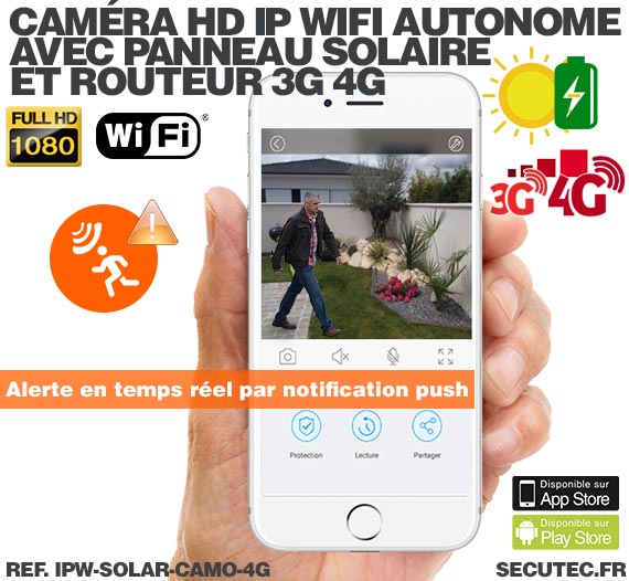 Caméra camouflage solaire 3G 4G IP Wi-Fi extérieure HD 1080P