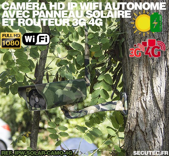 Caméra camouflage solaire 3G 4G IP Wi-Fi extérieure HD 1080P