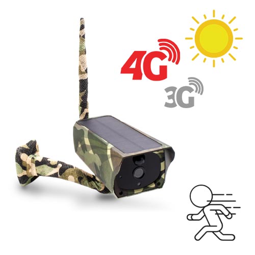 Caméra camouflage solaire 3G 4G IP Wi-Fi extérieure HD 1080P