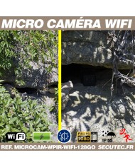 Kit micro caméra WiFi HD 1080P longue autonomie waterproof avec détection de mouvement PIR et vision nocturne invisible 128 Go