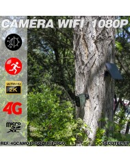 Smart caméra solaire 4G camouflage UHD 2K vision nocturne invisible 128Go très longue autonomie detection mouvement et humaine