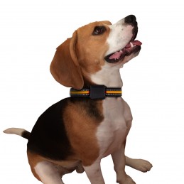 Traceur GPS Chien Chat Waterproof Collier Localisation Micro