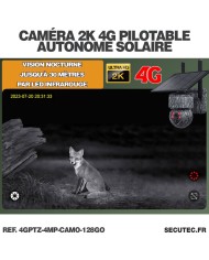 Caméra camouflage pilotable solaire 4G UHD 2K 4Mpx alerte sirène waterproof  infrarouge detection de mouvement