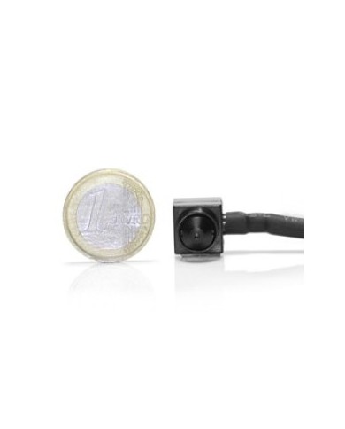 Micro snake couleur CCD 420 lignes Jour/nuit Pinhole audio