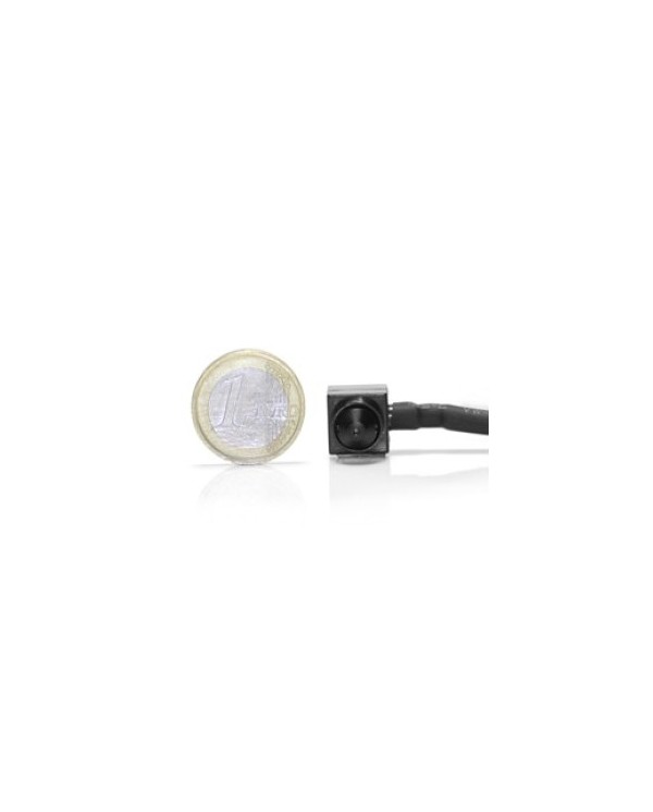 Micro snake couleur CCD 420 lignes Jour/nuit Pinhole audio