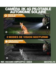 Caméra camouflage pilotable solaire 4G Ultra HD 2K alerte détection humaine AI