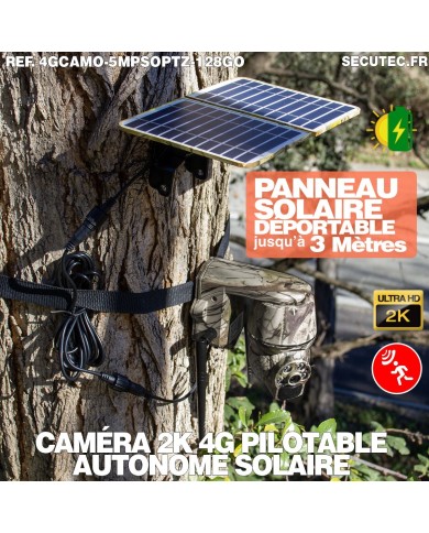 Caméra camouflage pilotable solaire 4G Ultra HD 2K alerte détection humaine AI