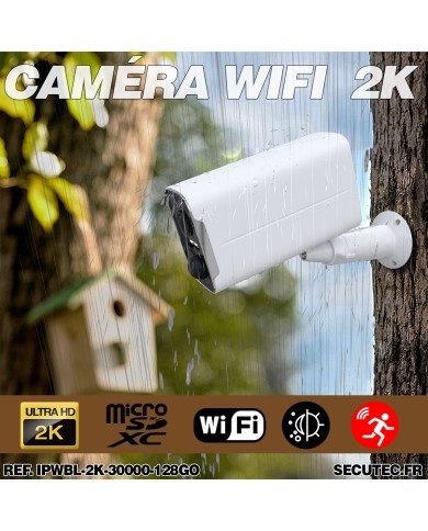 Camera blanche WiFi solaire UHD 2K infrarouge invisible ultra longue autonomie detection de mouvement et humaine 128Go