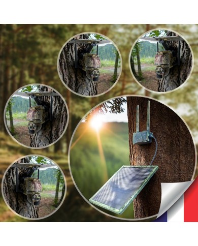 Kit vidéosurveillance camouflage 4G autonome 4 caméras ptz solaires