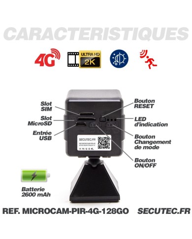 Micro caméra espion 4G HD 1080P longue autonomie détection IR invisible