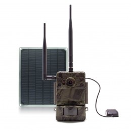 Caméra de chasse 4G UHD 4K IR invisible GPS avec panneau solaire